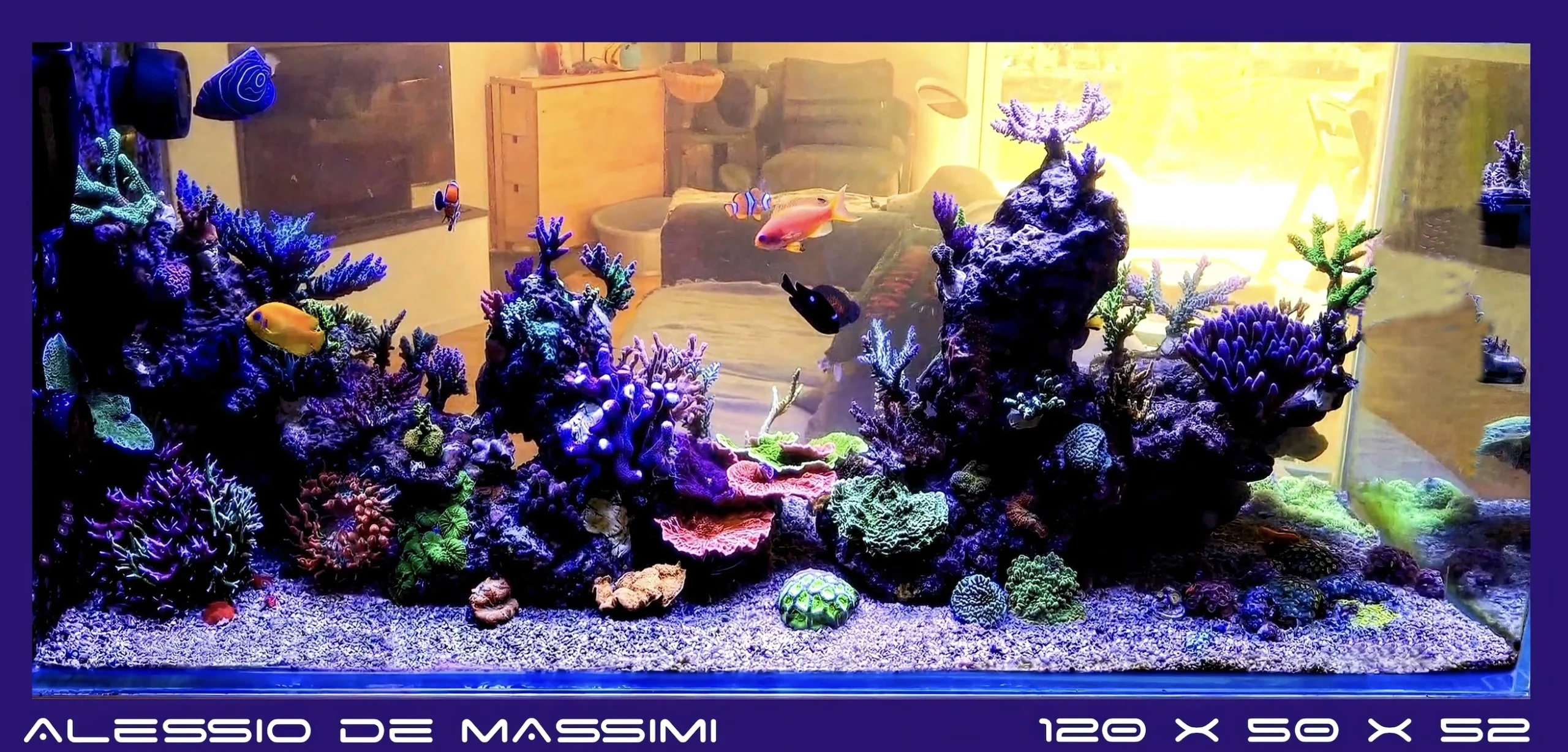 Alessio-De-Massimi-_2025_Yorah (1)