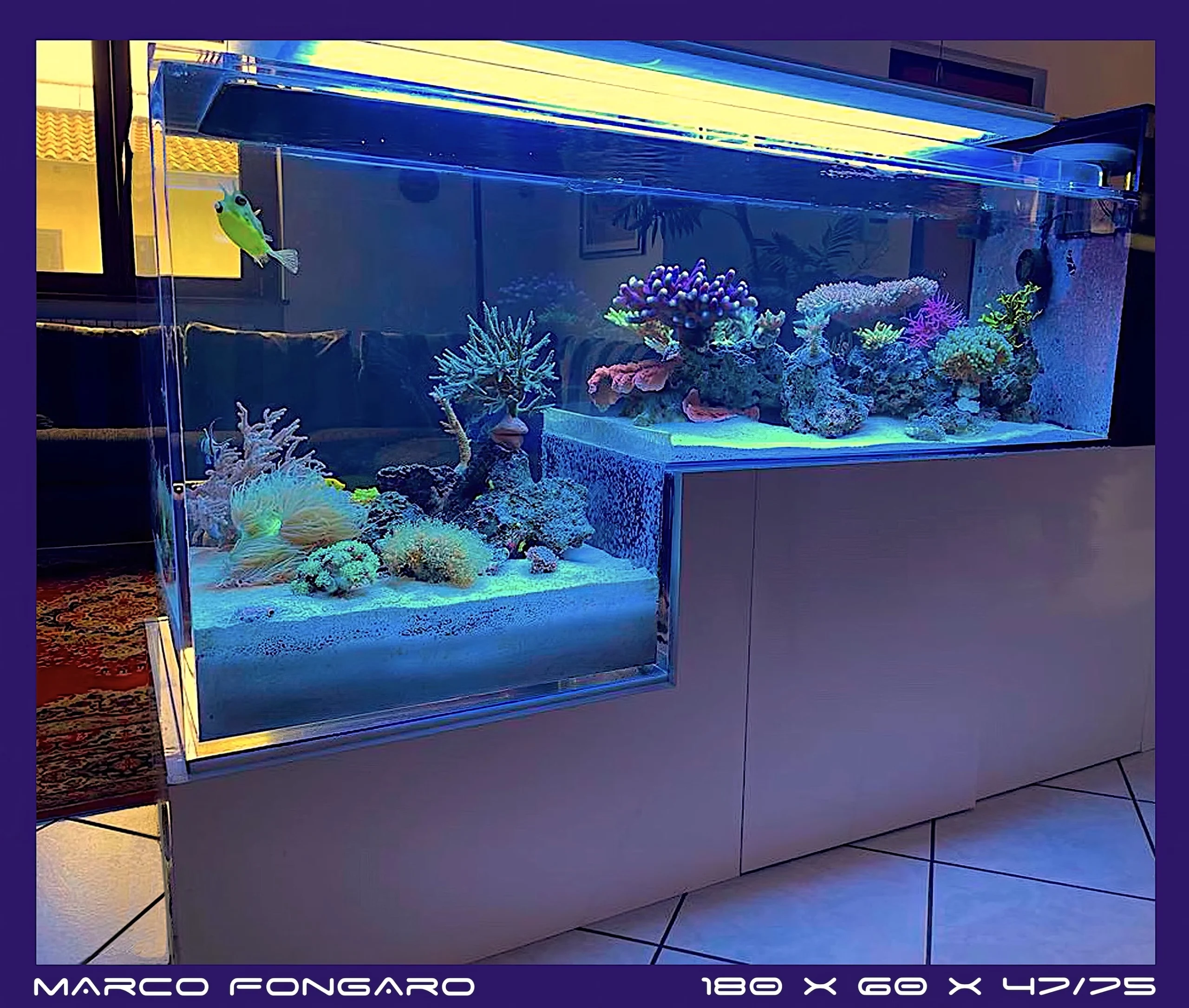 Marco-Fongaro_2025_Yorah